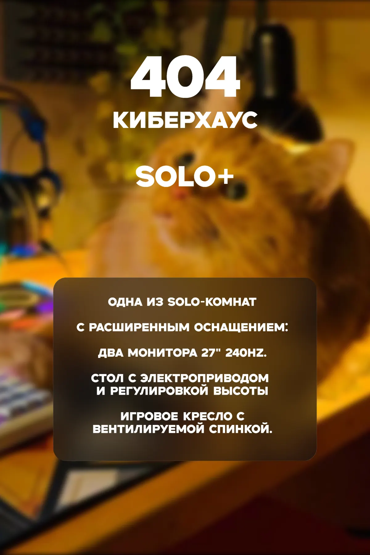 SOLO+ комната