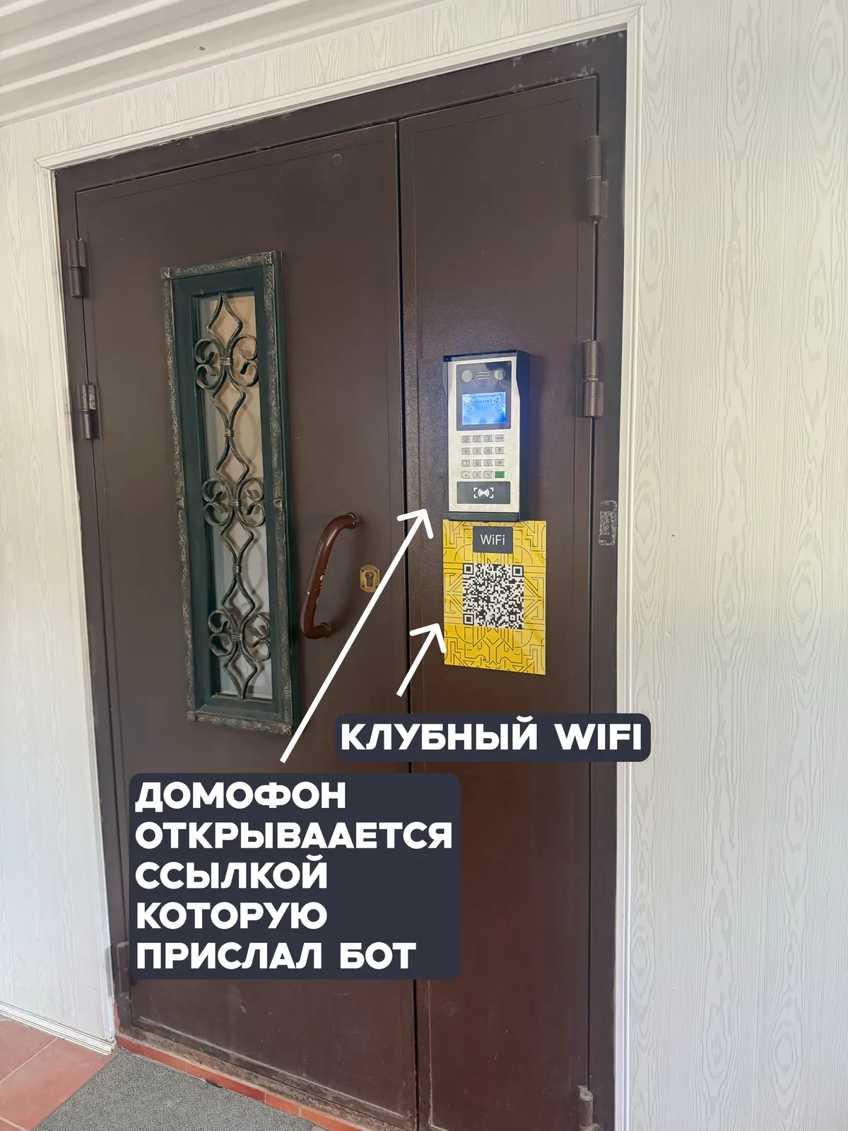 Домофон и клубный WiFi